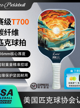Luzz路兹匹克球拍板碳纤维pickleball专业训练T700比赛usapa认证