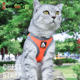 猫咪牵引绳背心式 胸抱婴袋防挣脱栓猫链子溜猫绳子猫咪专用外出用
