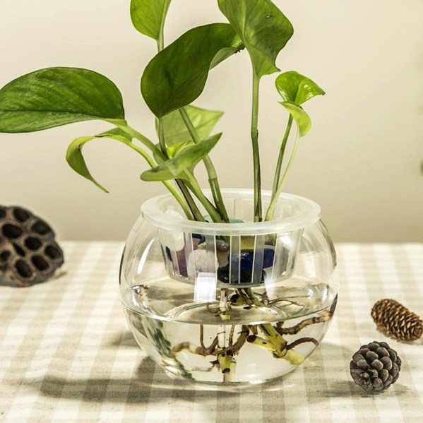 时尚透明玻璃鱼缸圆球花瓶 金鱼缸 客厅插花装饰水培花器摆件包邮,家居饰品,花瓶,淘宝优惠券,粉丝福利购,淘宝优惠卷