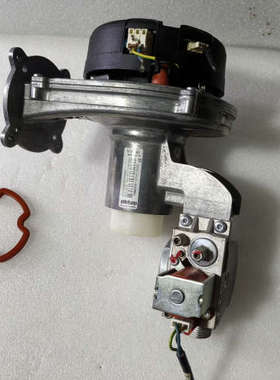 菲斯曼壁挂炉冷凝炉风机NRV118/3000-3612-03议价