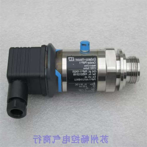 议价B008*全新恩德斯豪斯E+H压力开关 PMP11-10N2/0 现货PMP11-AA