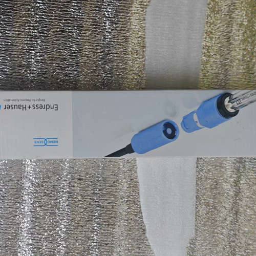 议价E+H CPS11E-10K6/0电极