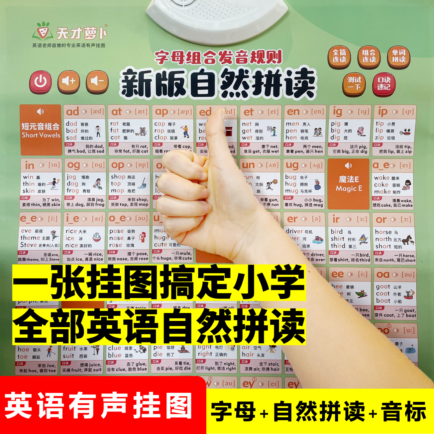 英语有声自然拼读挂图字母音标