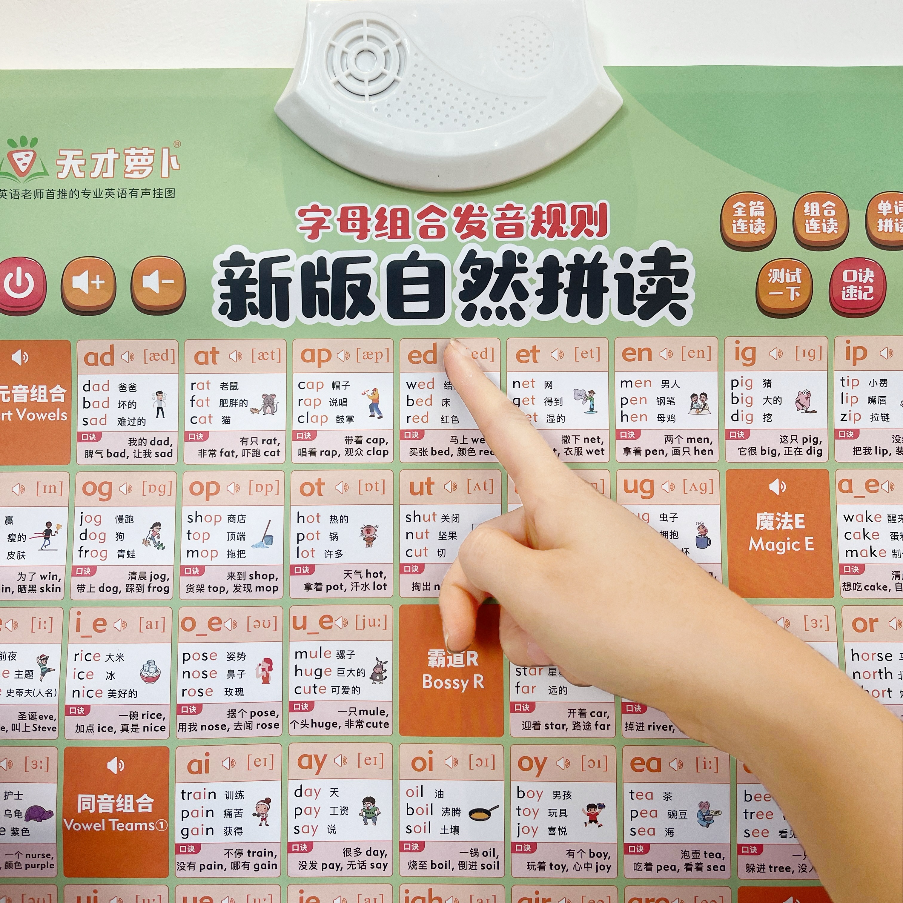 天才萝卜英语自然拼读有声挂图