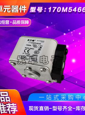 170M5594170M5595170M5596170M5597170M5598巴斯曼快速熔断器