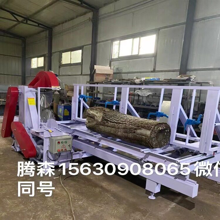 原木推台锯精密全自动多片四面锯
