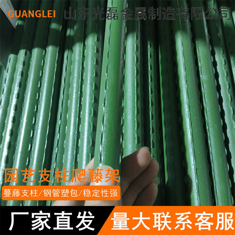爬藤架豆角黄瓜西红柿园艺葡萄丝瓜架子植物支撑架包塑钢管批发