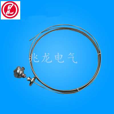 PT100耐磨热电阻 WZPK-231铠装热电阻 工业装配式防腐铂热电阻