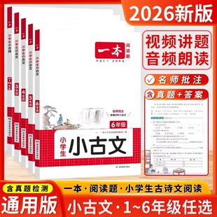 2026新版一本小古文100篇分级小升初文言文阅读与训练必背语文言文走进古诗文一读就懂小学生小古文100课上下册文言文全解一本通