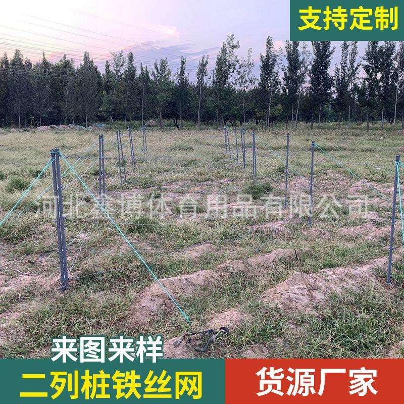 供应模拟一列桩二列桩铁丝网蛇腹刺绳刺线刺丝匍匐低桩网线