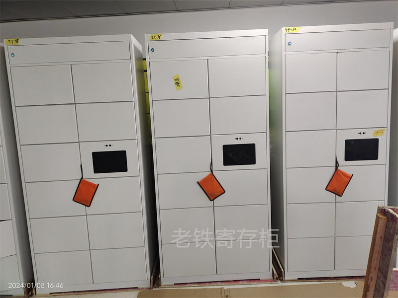 智能自编密码寄存柜/十二门电子存包柜/储物柜/学校便携存包快递