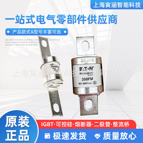 熔断器全新250FM 280FM 350FM 600FMM 700FMM