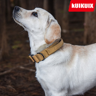 速发新款战术户外狗项圈德爆冲项圈中大牧马犬防型可调节狗脖圈子