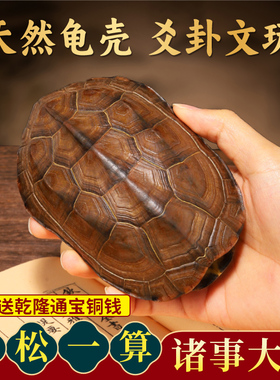 速发乌龟文壳龟甲真玩六爻摇卦工具周易64卦牌乾隆铜钱手把件摆件