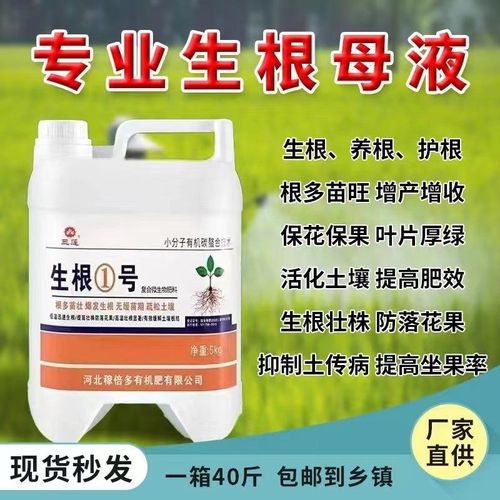 速发发腐苗旺根多多生根1号壮苗强力根根壮根扦插移栽育苗防多水
