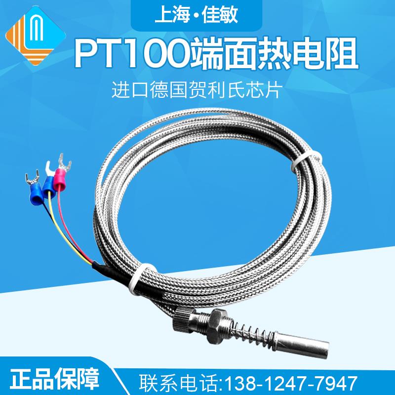 WZPM-201 端面热电阻Pt100端面电阻 温度探头 温度传感器 M8*0.75
