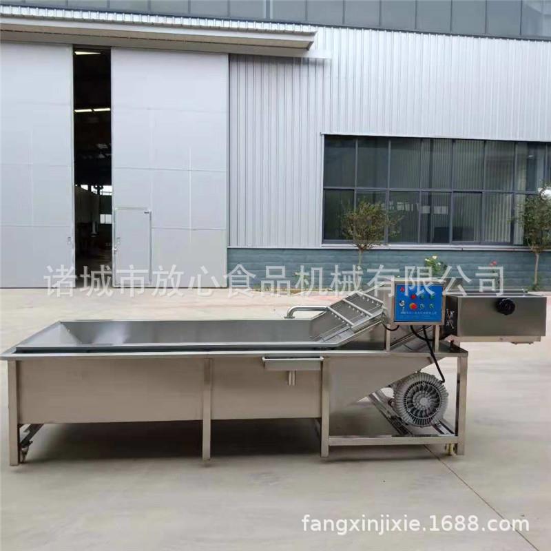 全自动气泡清洗机生产厂家果蔬清洗机型号可加工定做