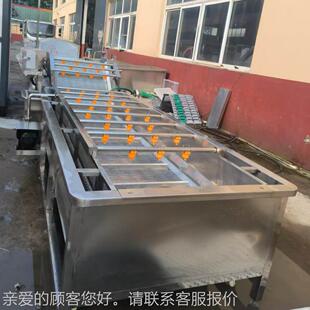 多功能山果洗蔬清机香蕉胡萝片卜片过滤清VOD洗机石榴楂气泡清洗