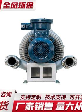 F3BZ-93D-11 BZ951-93D-1 FBZ-9D-1F8.55 防爆漩涡气泵高压风机