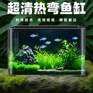 高清热弯玻璃鱼缸新款家用小生态缸斗鱼金鱼缸桌面客厅透明水族箱