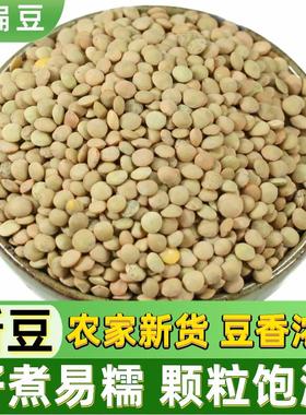小扁豆500g金豌豆低脂健身五谷杂粮甘肃绿扁豆Lentils发豆芽兵豆
