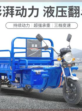 电动三轮车拉货大l功率摆摊爬坡农用家用两用油电货车快递载重新