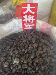 中药材大将军精选大将军干 蜣螂虫 屎壳郎干 干货 批发500克包邮