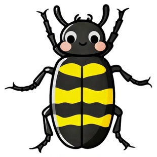 新老客户专拍 中药材昆虫类斑毛冷背虫磨粉整虫包邮