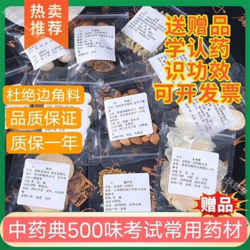 新升级500味中药标本常用C执业药师挑选中药学习展示