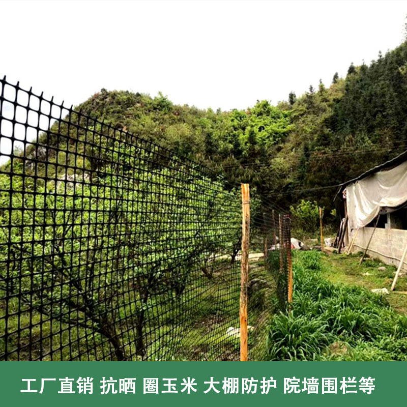黑色胶网养殖网m鸡鸭围栏大棚通风口圈玉米网结实耐用