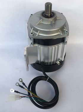 三轮车电机直流无刷马达爬楼梯电机48V5S00W1200W