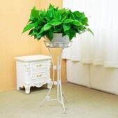 大盆绿萝长藤垂吊p盆栽室内新房家用大叶水培客厅吸