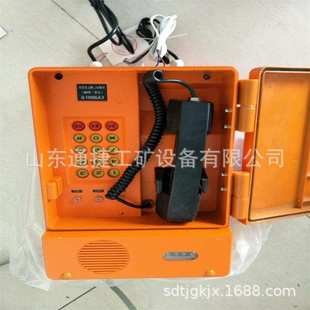 CPH951煤矿扩音电话 30W扩音电话 矿用数字抗噪声广播扩音话站