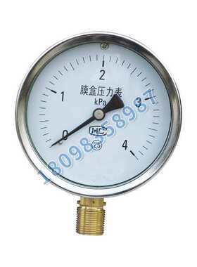 安徽天长仪表中盛仪表膜盒压力表 YE-100B 0~1KPa SUS304