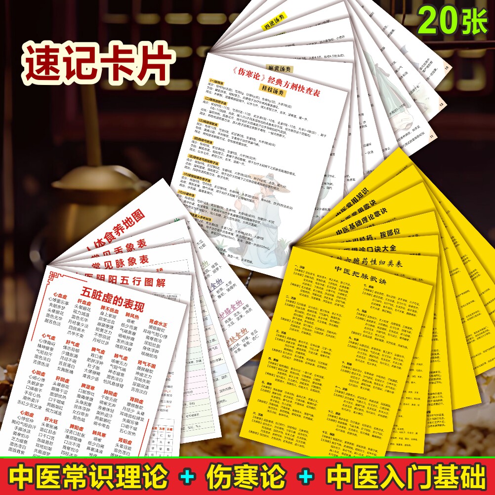 中医入门基础理论人体五