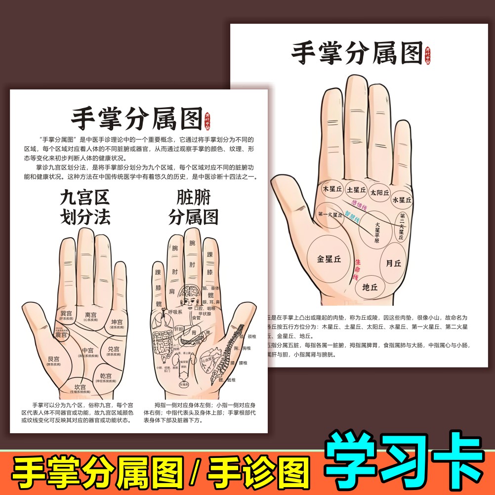 手部的人体穴位图五指快