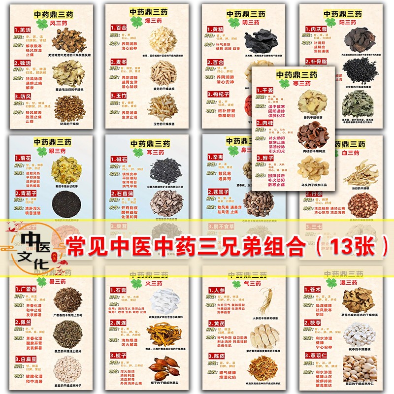 中医中药三兄弟组合学习