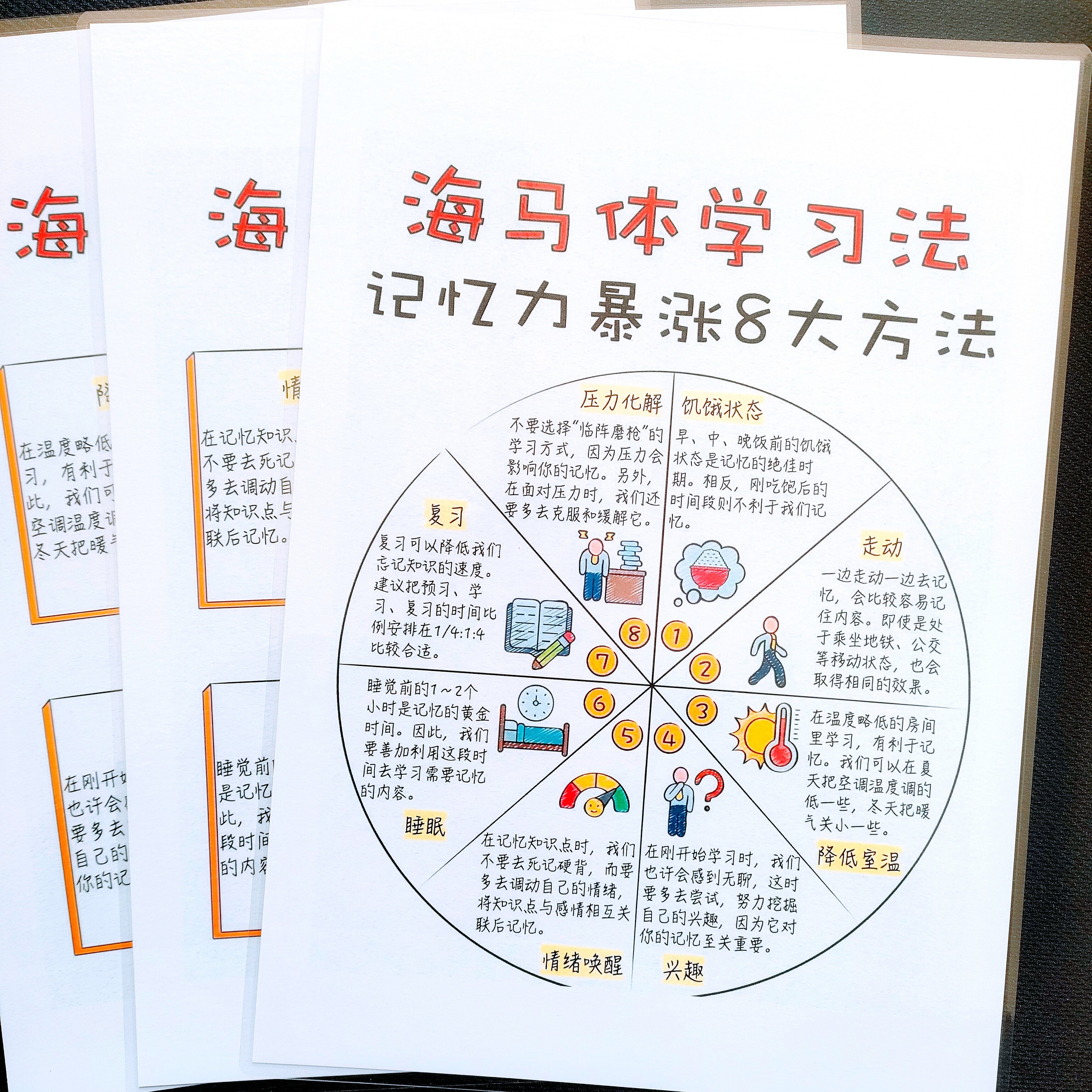 海马体学习法记忆力暴涨+