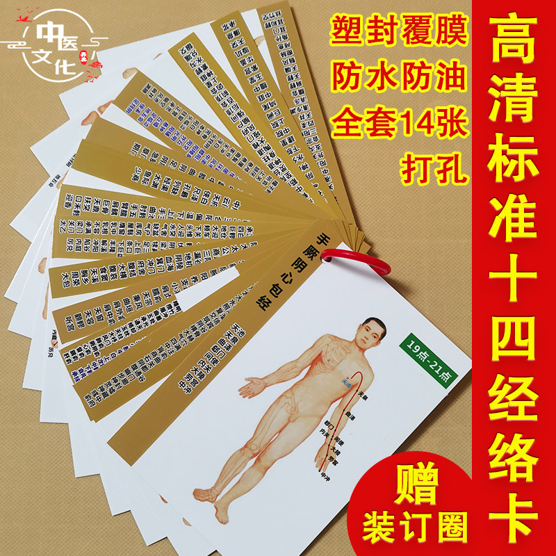中医十四经络学习卡片覆