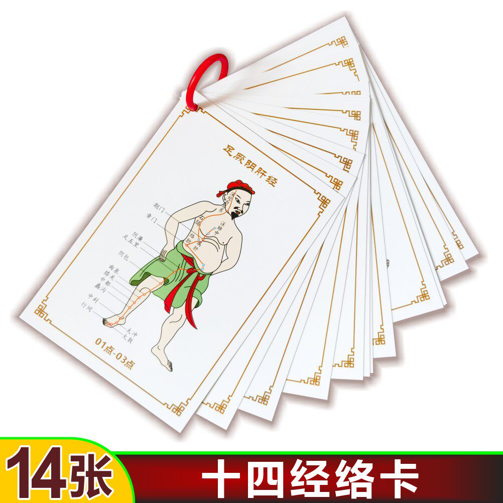 十四经络中医人体学习穴