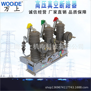 ZW43-12G/630A不锈钢手动高压真空断路器10kv 12FG智能看门狗