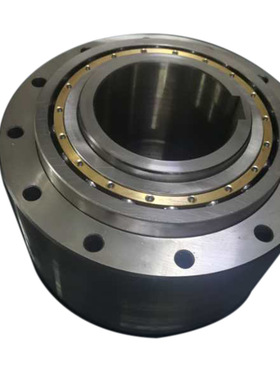 圆柱滚子式单向超越离合器GFR100/GFRN100/FGR100R/GL100/MZEU100