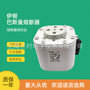 170M7122 170M7121 170M7123 快速熔断器保险丝170M7120 全新原装