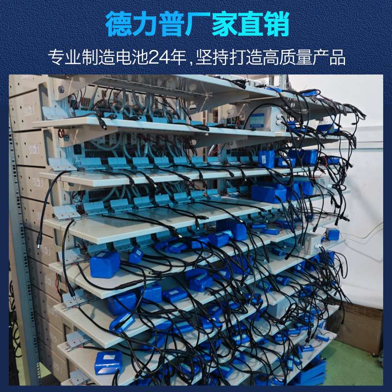 德力普12V聚合物锂电池电量显示大容量24v锂电电池12伏锂电池组