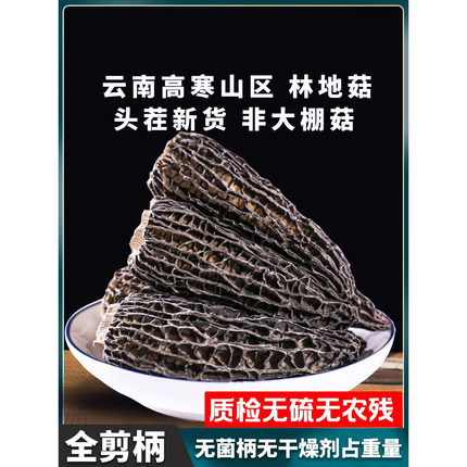 云南特产头茬羊肚菌干货500g精品山珍菌菇煲汤材料新鲜野生菌礼盒