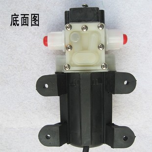 隔膜微型小泵农用电动喷雾器水泵12V24VM自吸泵洗车泵水钻机配件