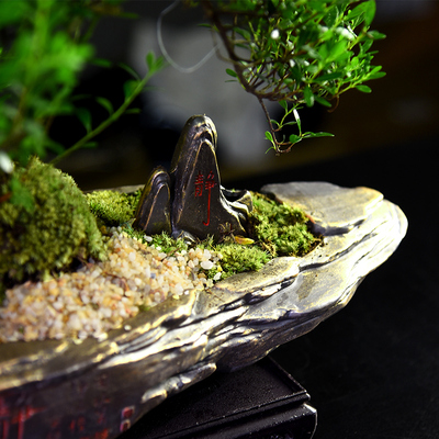 造型小叶赤楠盆景室内绿植盆栽z老桩客厅办公客厅桌面摆件植物礼