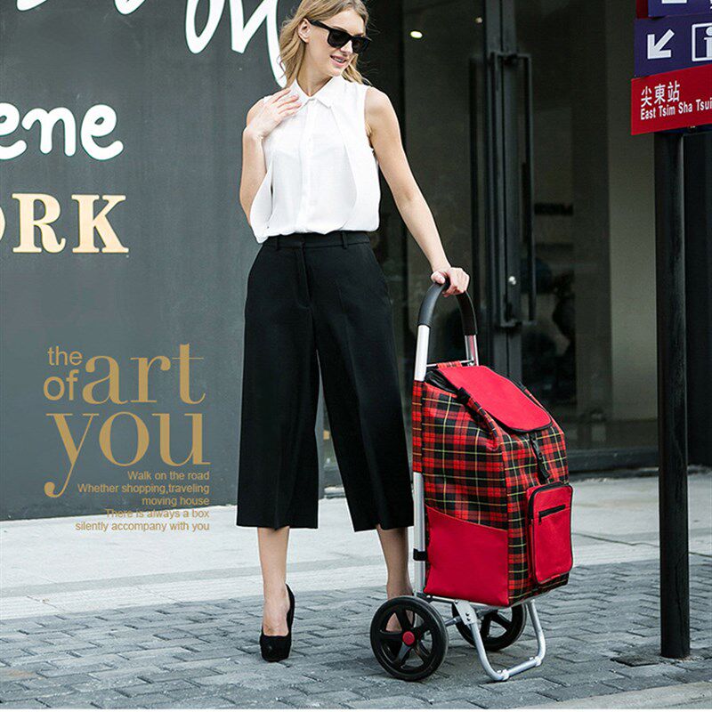 便携折叠加大号购物车加粗管壁买菜车加高手柄拉R杆车手拉车小推