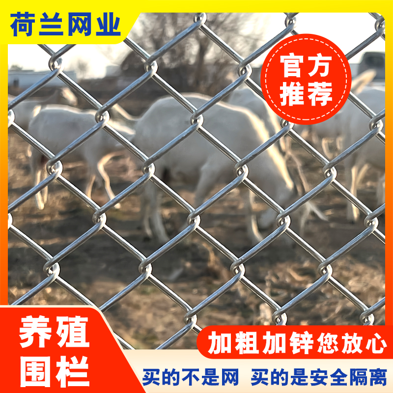 镀锌铁丝b网勾花网围栏圈牛羊防护养殖钢丝网养鸡狗果园隔离护栏