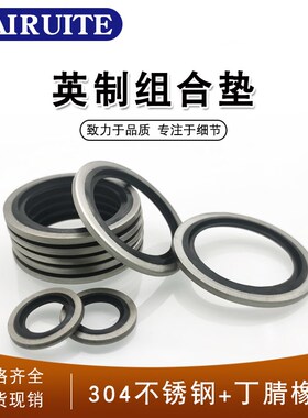 304不锈钢英制组合垫/JsB982组合垫圈垫片密封圈/O型圈/骨架油封